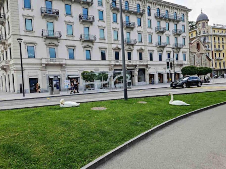 Urban Flat Appartement Lugano Buitenkant foto